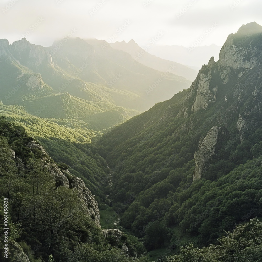 Naklejka premium Cantabrian Mtns, Spain