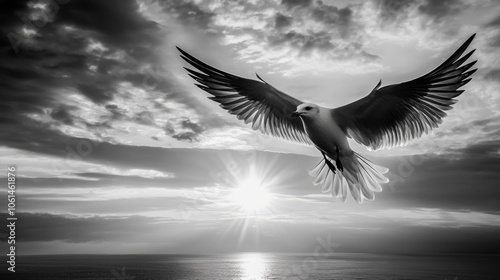 Bird flying over ocean photo