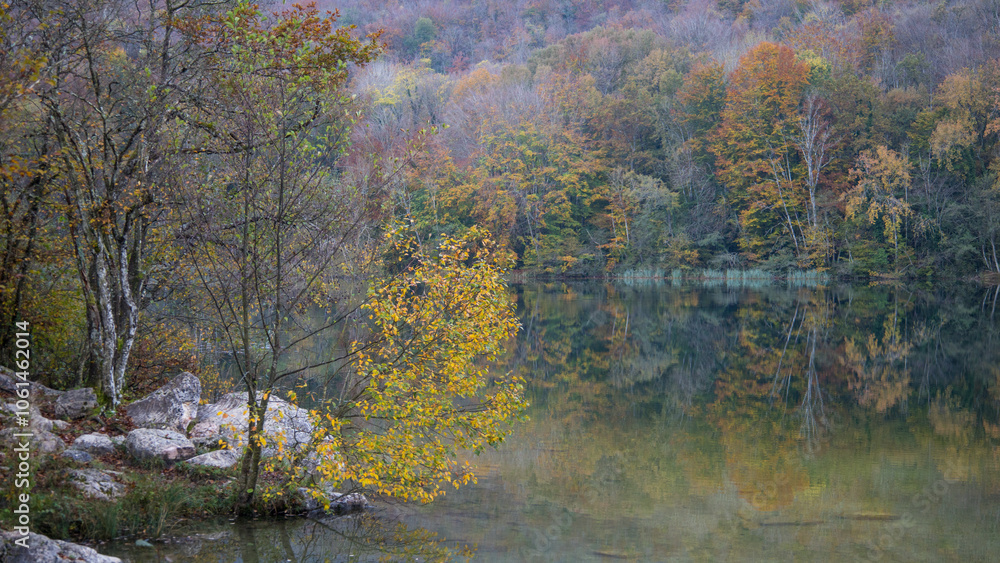 Fototapeta premium bord du lac d'ambléon dans l'Ain en automne