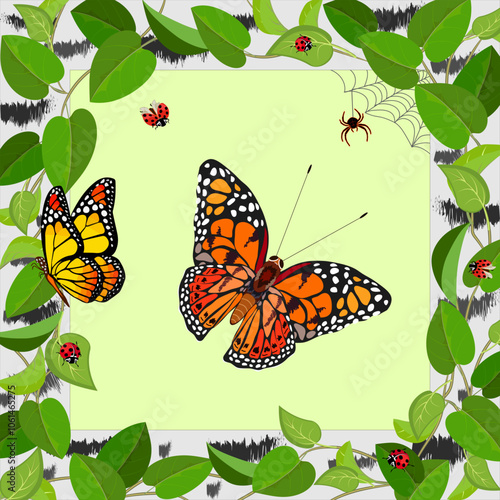 Insects in a frame with leaves.Vector illustration with butterflies and ladybugs in a frame of birch branches.