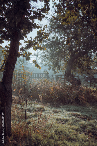 Foggy early morning country rural village yard, majestic morning sun in old house back yard