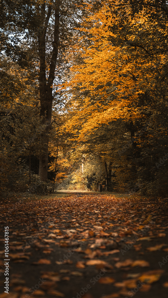 Herbstspaziergang
