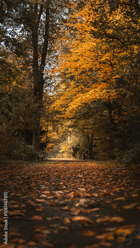 Obraz na płótnie Herbstspaziergang w salonie