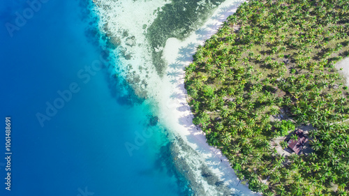 Aerial view of tropical sand beach with palm trees and blue ocean. Summer Background.