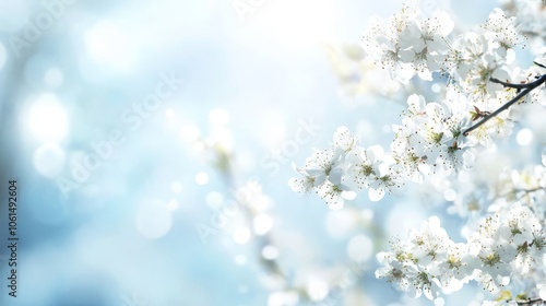 Delicate white blossoms adorn a branch, closeup of spring's beauty in nature's embrace