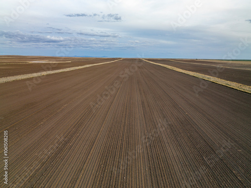 Aerial view of a massive row crop field. photo