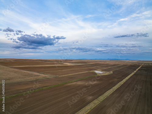 Aerial view of a massive row crop field. photo