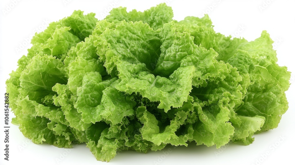 Fresh Green Lettuce Leaves Isolated on White Background Fresh Green Lettuce Leaves Isolated on White Background