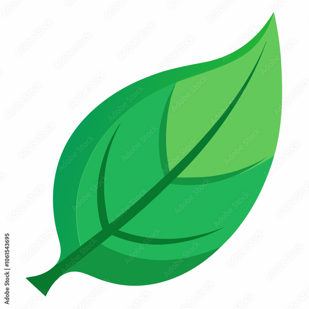 green leaf vector, green leaf isolated,green leaf isolated on white green leaf vector, green leaf isolated,green leaf isolated on white