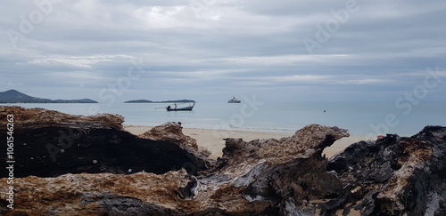 beach and wood remains photo