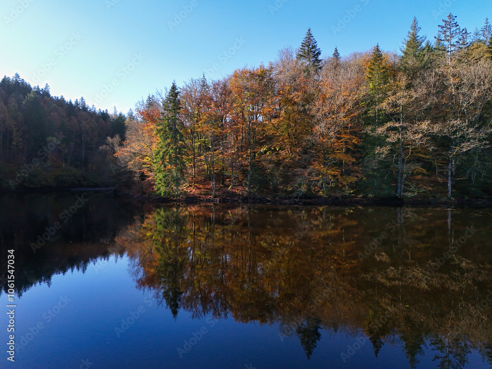 Forest in autumn colours reflected in a lake Forest in autumn colours reflected in a lake