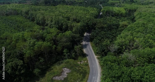 Aerial road through tropical rinforest green tree transport background photo