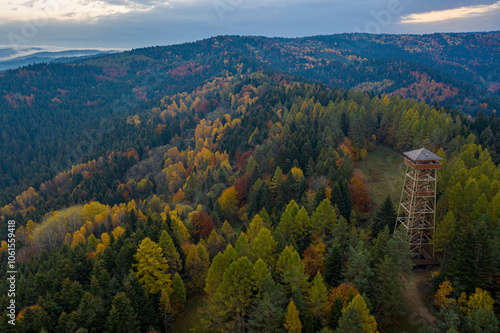 Dolina Popradu, Muszyna, Malnik photo