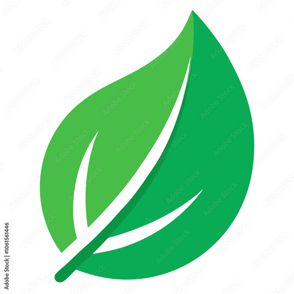 green leaf isolated on white background 