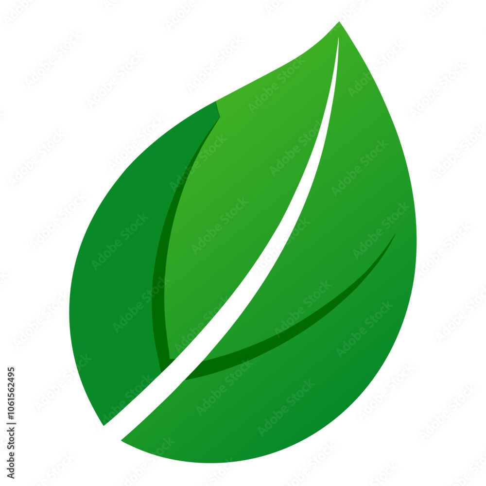 green leaf isolated on white background green leaf isolated on white background