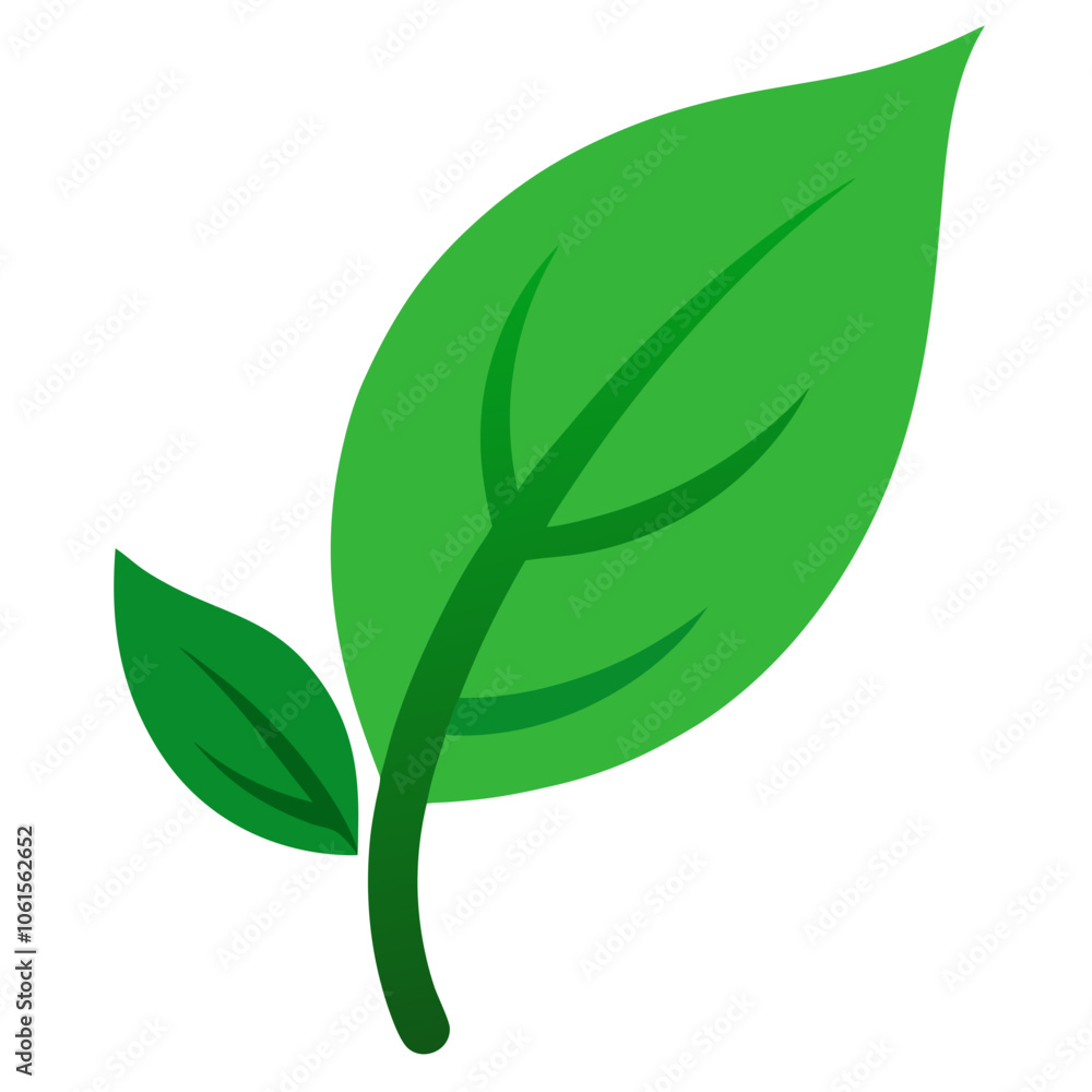 green leaf isolated on white background green leaf isolated on white background