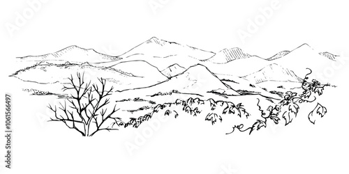 Scenery landscape of mountains, ivy grapes plant leaves trees, pasture land alpine vista hand drawn in ink, isolated on white. Illustration for tourism, resort ads, hiking camping sites, vacation.