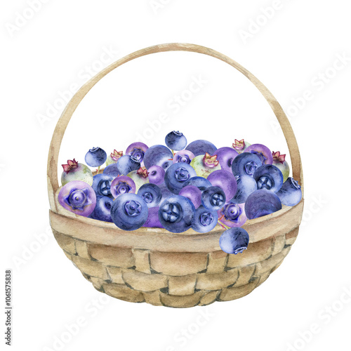 Blueberry blackberry in weaved basket, hand drawn in watercolor, heap of ripe picked forest purple berry harvest. Seamless banner illustration, for restaurant, cafe menu, recipe book, farmers market