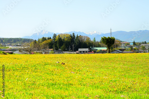 上之段石器時代遺跡付近　長野県茅野市