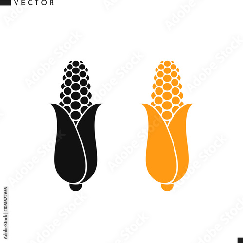 Ear of corn vector. Isolated corn on white background