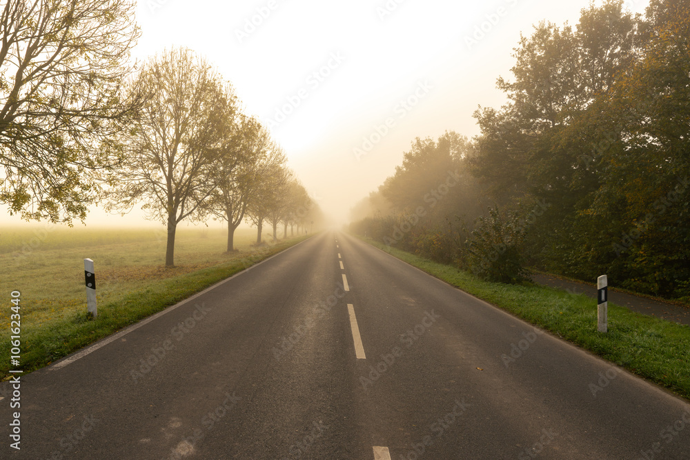 Nebel im November im Herbst bei Sonnenaufgang Nebel im November im Herbst bei Sonnenaufgang