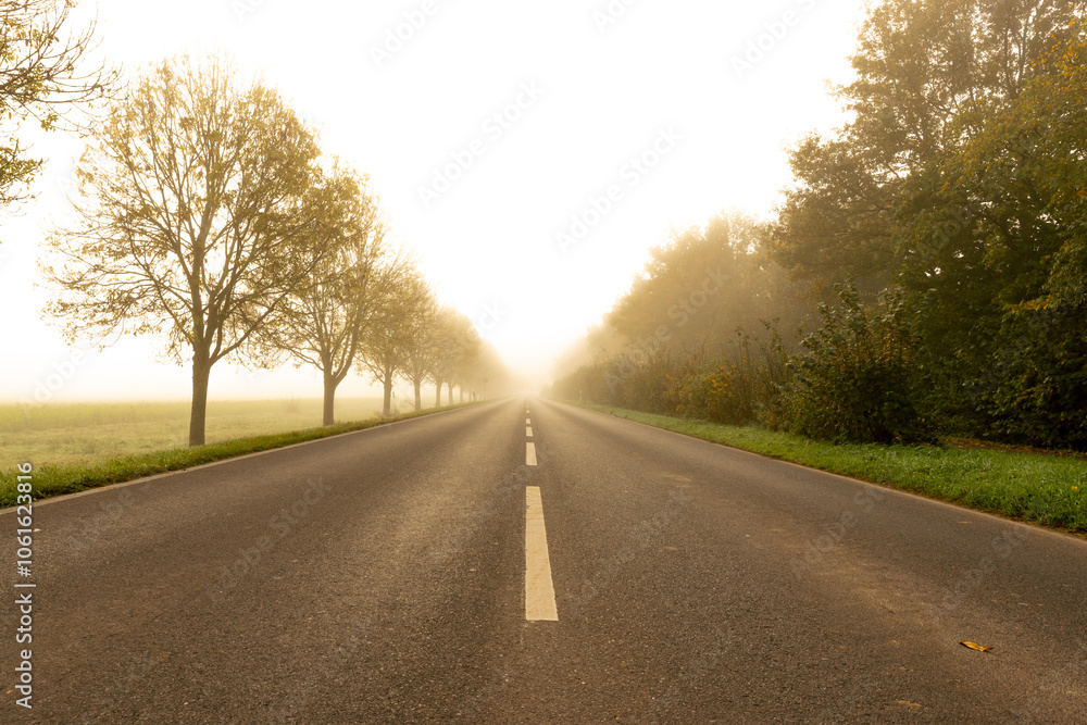 Fototapeta premium Nebel im November im Herbst bei Sonnenaufgang