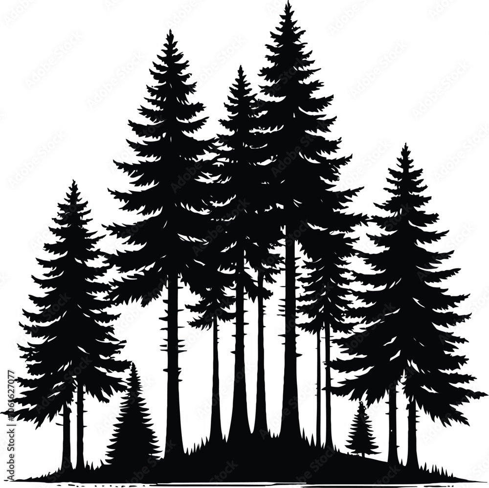 Fototapeta premium Pine tree silhouette vector white and black color tree set silhouette.