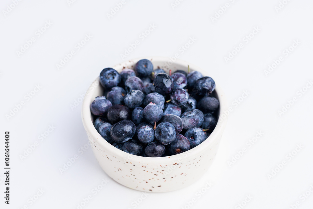 blueberries in a white bowl on a white background isolate blueberries in a white bowl on a white background isolate