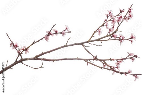 A small bird sits comfortably on the branch of a tree, its feathers ruffled slightly