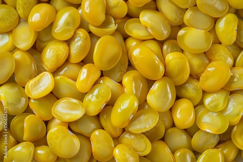  Big amount of yellow raw fava beans. Image illustrated food for advertisement