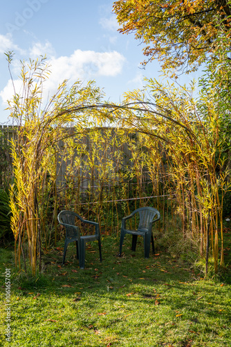 Bent willow structure with chairs in a garden in Fall or Autumn. Concept of outdoor living, seasonal, spending time outside