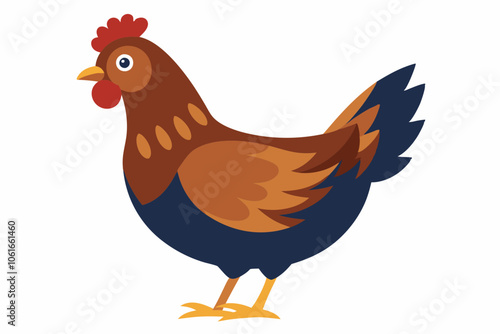 walking and eating a beautiful hen isolated on white background