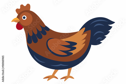 walking and eating a beautiful hen isolated on white background