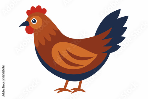walking and eating a beautiful hen isolated on white background