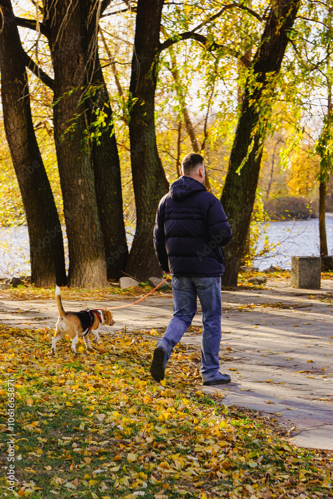 Fototapeta premium man walking in the park with dog