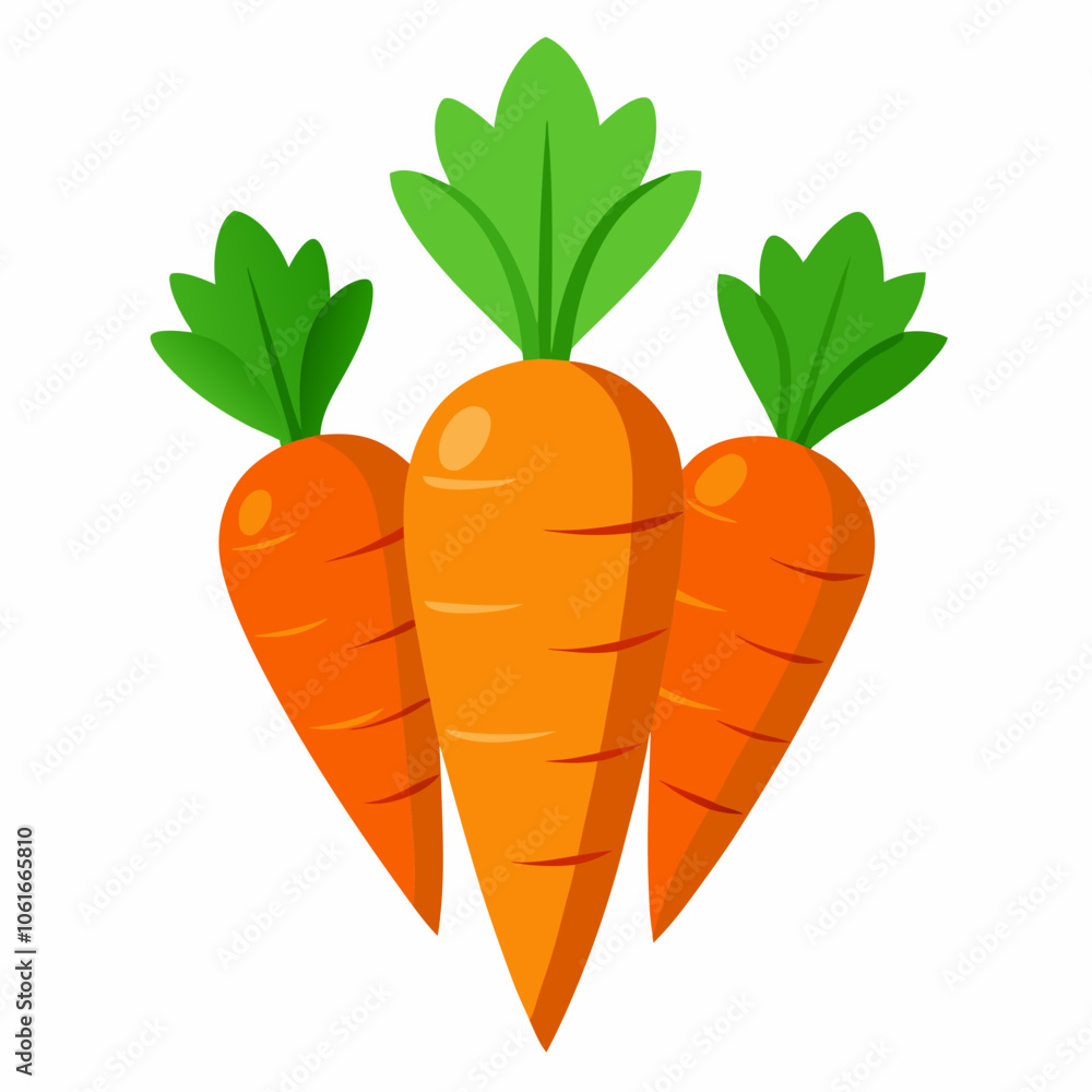 carrot illustration carrot illustration