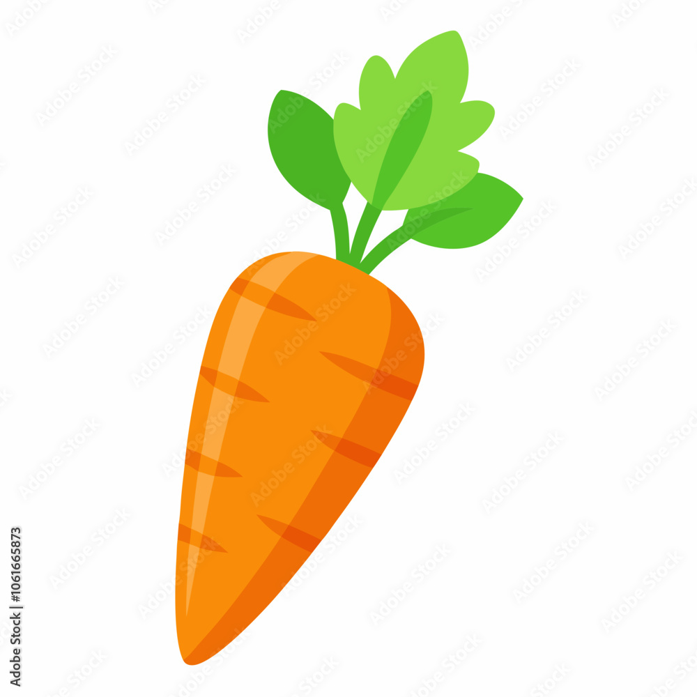 carrot isolated on white background carrot isolated on white background