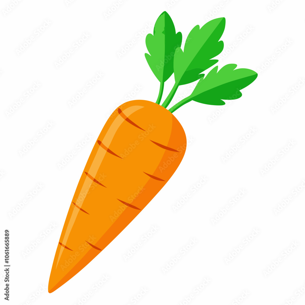 carrot isolated on white carrot isolated on white