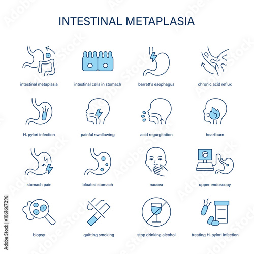 Intestinal Metaplasia symptoms, diagnostic and treatment vector icon set. Medical icons.
