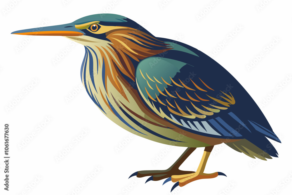 Obraz premium American bittern isolates on a white background.