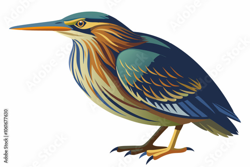  American bittern isolates on a white background.