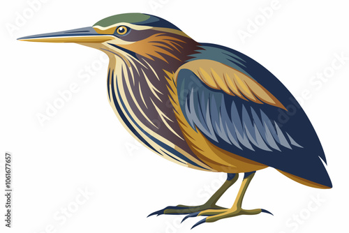  American bittern isolates on a white background.