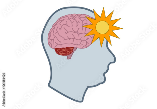 Silueta de cabeza con cerebro y sol representando claridad mental