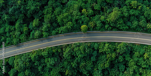 Aerial view of a winding road cutting through dense green forest landscape