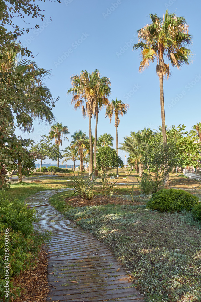 Vertical photo of a wooden path between palm trees on Torre Bermeja beach in Benalmadena, Malaga, Andalusia, Spain Vertical photo of a wooden path between palm trees on Torre Bermeja beach in Benalmadena, Malaga, Andalusia, Spain