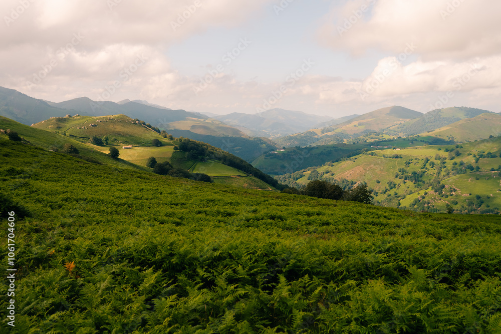 Green landscape in the pyrenees with layered mountains, green meadow and flowers Green landscape in the pyrenees with layered mountains, green meadow and flowers