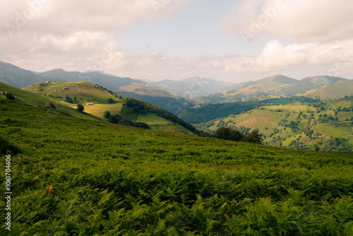 Green landscape in the pyrenees with layered mountains, green meadow and flowers