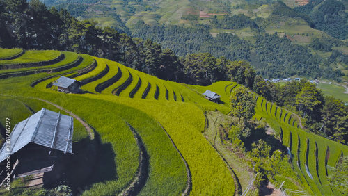 Rice fields on terraced beautiful shape of the Mu Cang Chai, Yen Bai, Vietnam, Oct 2023 photo