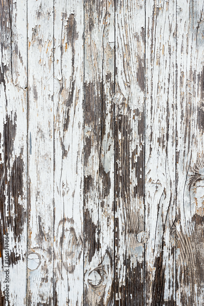 The old wooden fence The old wooden fence