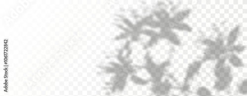 Glare from the sun's rays on the wall. Blurred shadows from leaves and plants in the room. Soft overlay of natural light. Abstract background for product presentation.Natural light layout.